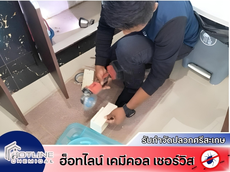 บริการกำจัดปลวกอย่างมืออาชีพ